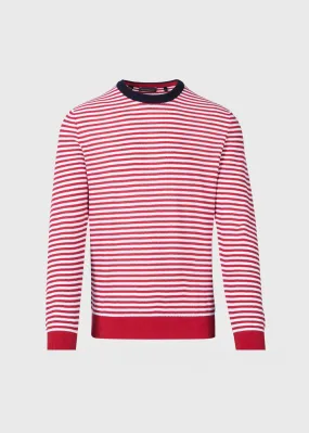 Cotton Striped Crewneck Sweater